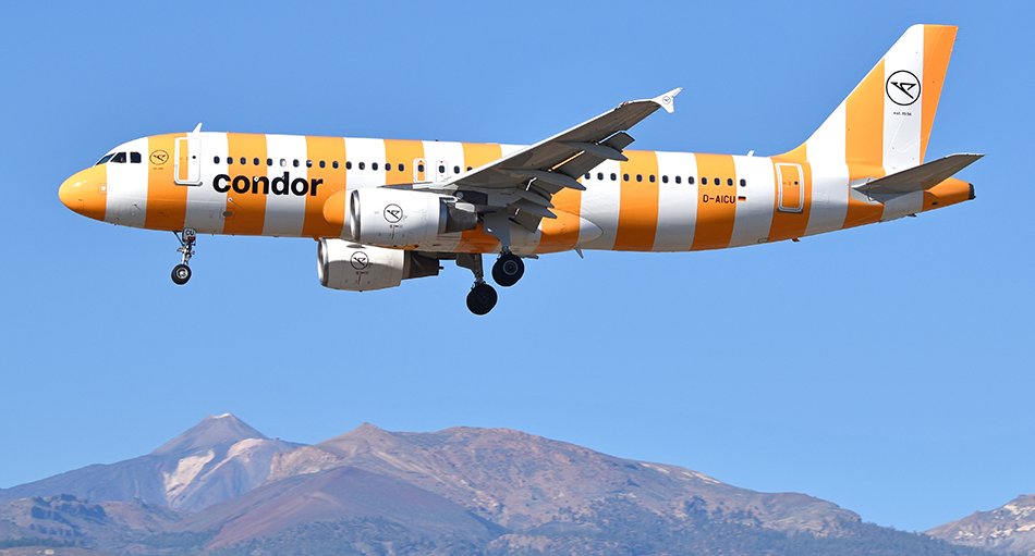 Condor