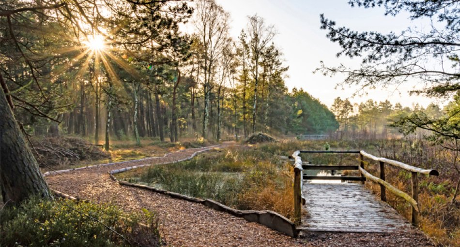 Der „Dör’t Moor“ Pfad wurde 2021 zum deutschlandweit besten Wanderweg gewählt.