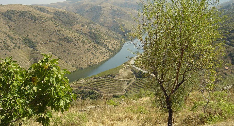 Impressionen aus Zentralportugal