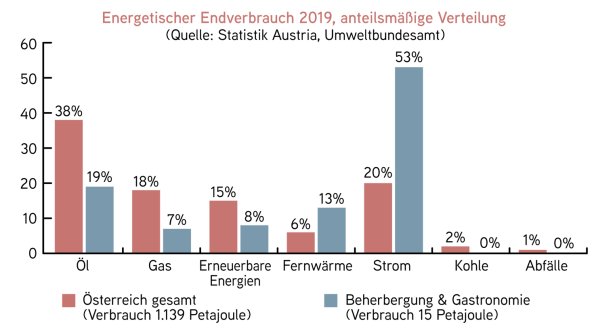 Energetischer Endverbrauch 2019, anteilsmäßige Verteilung