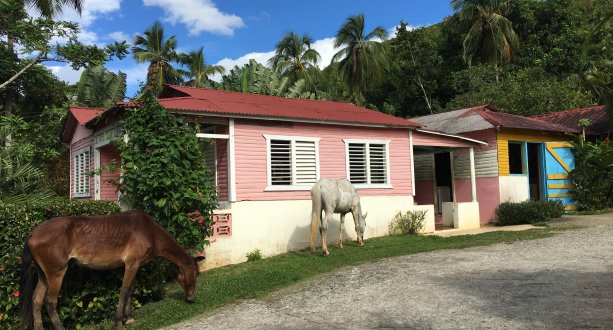 Samaná