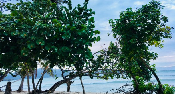 Samaná