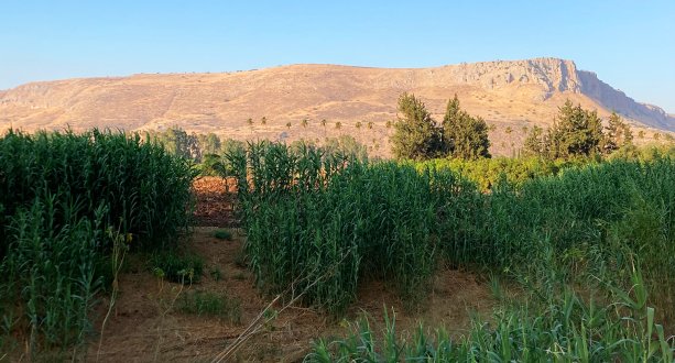 Israel Landschaft