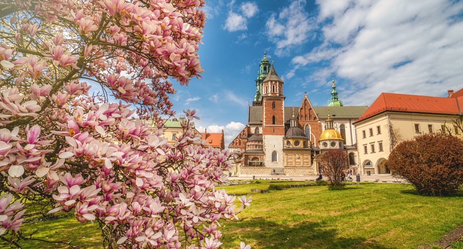 Krakau