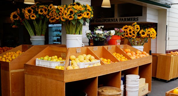 DER Campus Live Los Angeles, Farmers Market