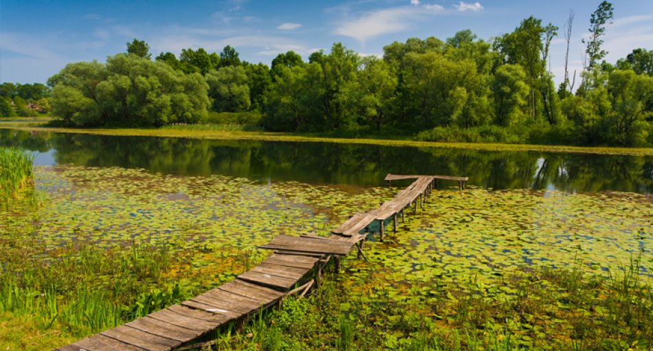 Naturpark Lonjsko Polje