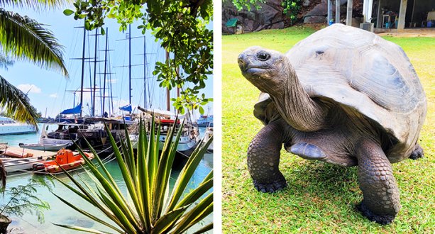 Silhouette Cruises auf den Seychellen