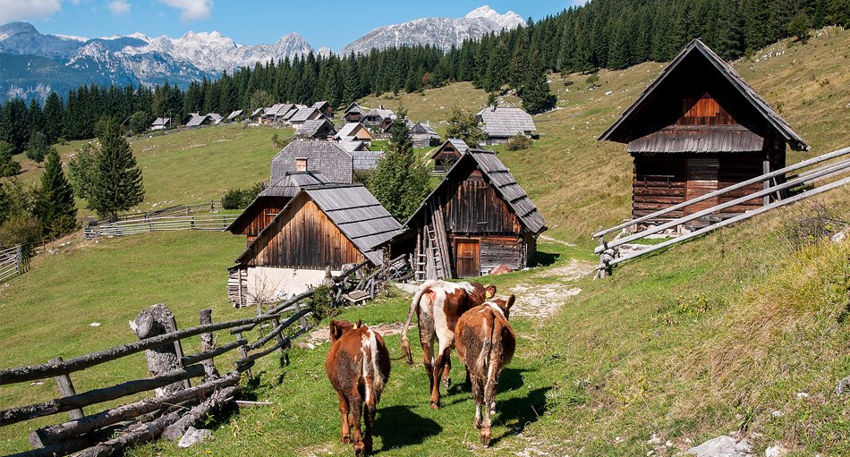 Triglav Nationalpark