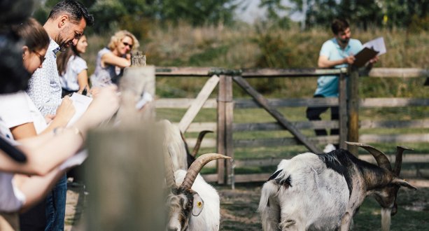 Aus- und Weiterbildung sind wichtige Pfeiler der VAMED Vitality Karriere World