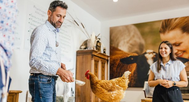 Beim Persönlichkeits- und Kommunikationstraining mit Hühnern 